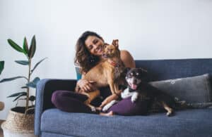 pet friendly home IAQ